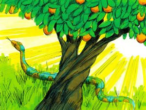 Maldición para la serpiente