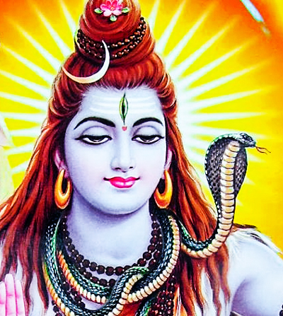 Shiva vibora