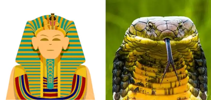 Símbolo Faraón y serpiente