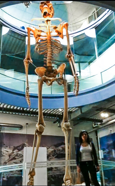 Gigante Museo Loja Ecuador