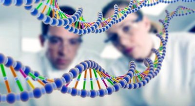 genetica ADN