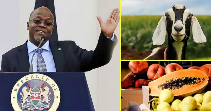 presidente tanzania cabra y papaya