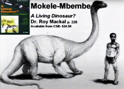 Dinosaurio Mokele Mbembe