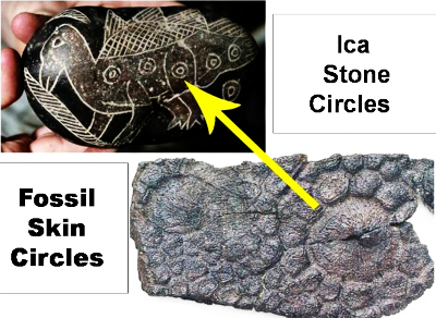 Piedra Ica detalle piel Dinosaurio
