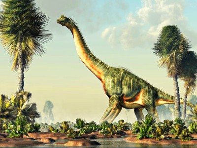 braquiosaurio en un humedal dinosaurio Behemot