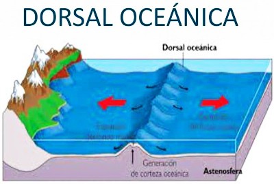 Dorsal Oceanica formacion de continentes Diluvio