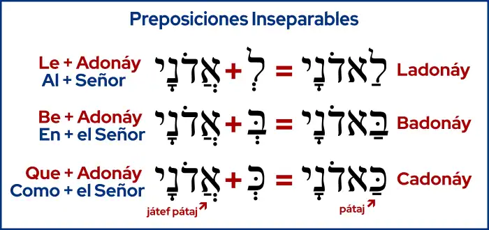 Preposiciones Inseparables con Adonay