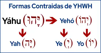 Formas Contraidas de YHWH